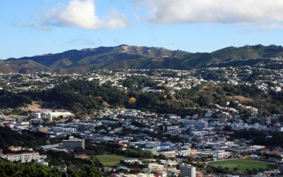 Streamlining the Building Consents Process: Simplifying Home Renovations in Wellington